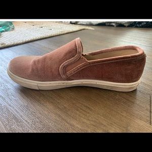 velvet Steve Madden shoes